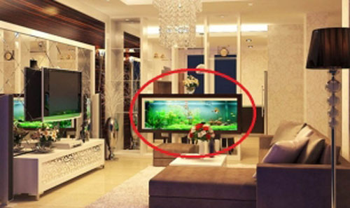 Những đặc điểm phong thủy luôn được nhà giàu áp dụng để mời Thần Tài, giữ lộc lá