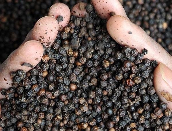 Hỗ trợ DN Việt Nam xuất khẩu sang Ấn Độ trong và sau dịch Covid-19