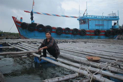 Nuôi hàu góp phần cải thiện cuộc sống. Ảnh : hoinongdan.thanhhoa.gov.vn