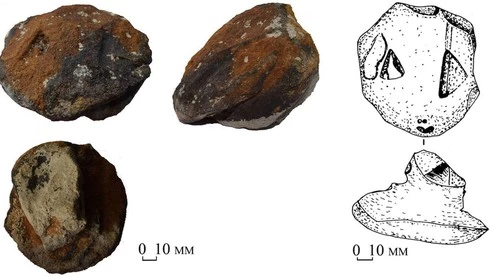 "Đầu rắn" 8.300 năm tuổi tiết lộ nghi lễ thời đồ đá