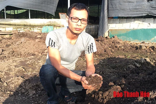 Mô hình nuôi giun quế của gia đình anh Lê Văn Tình, xã Vĩnh Thịnh (Vĩnh Lộc) cho thu nhập mỗi năm hàng trăm triệu đồng.