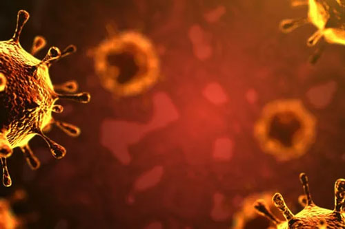 Mỹ yêu cầu Trung Quốc cho tiếp cận phòng thí nghiệm virus ở Vũ Hán