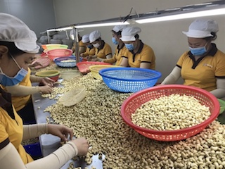 Doanh nghiệp xuất khẩu nông sản liêu xiêu, gồng mình chờ tín hiệu lạc quan trở lại sau “bão” Covid-19