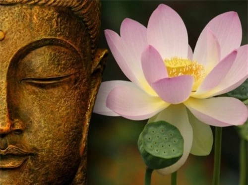4 điều Phật dạy làm người nghìn năm vẫn còn nguyên giá trị - Ảnh 2
