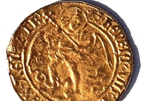 Bất ngờ phát hiện báu vật trong vườn trong thời gian cách ly xã hội