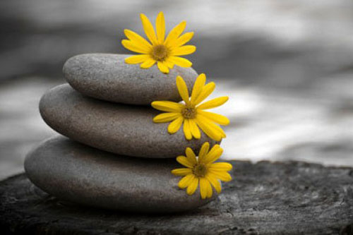 Để cuộc sống thêm phần tươi đẹp, hãy đọc kỹ 10 điều sau đây