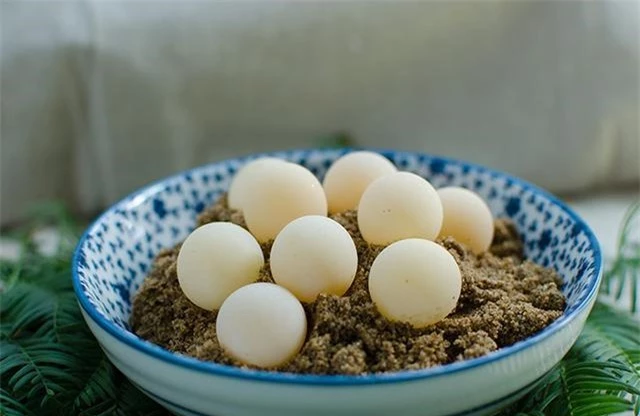 trứng rùa 1