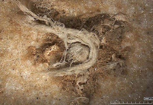 Bằng chứng sốc về những "siêu nhân" thông minh hơn loài người hiện đại