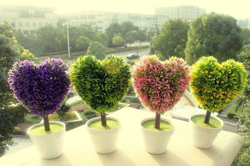 CLIP: Hướng dẫn trồng chậu hoa hình trái tim đẹp mê hồn