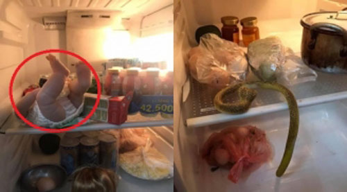 Vừa mở tủ lạnh, mẹ trẻ suýt ngất khi thấy vật thể lạ nhưng thủ phạm phía sau mới khiến mọi người bất ngờ