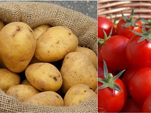7 cặp thực phẩm đại kỵ, đừng dại mà ăn thử kẻo nhập viện không kịp