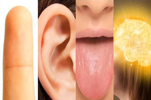 Khám phá thú vị về cơ thể con người, thời gian bạn nhắm mắt mất gần nửa cuộc đời