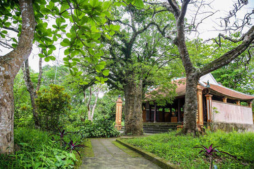 Vẻ đẹp yên bình ở làng cổ trên đất Nam Đàn