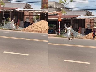 Cô dâu mặc váy cưới vẫn lao sang đường để lôi chú chó đi theo, biết được lý do mọi người càng bất ngờ