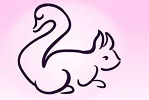 Trắc nghiệm: Con vật nhìn thấy sẽ tiết lộ con người thật của bạn