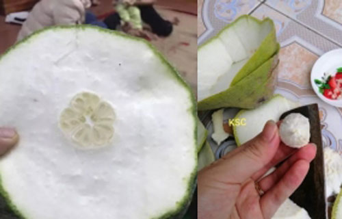 Mua được quả bưởi Năm Roi căng mọng, về bổ ra anh chàng mới "khóc ròng"