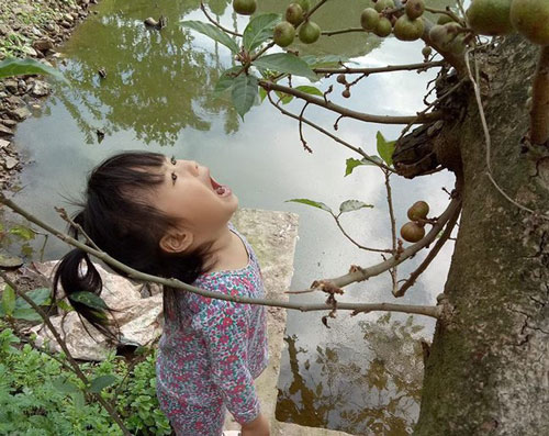 Tin lời chị, bé gái 3 tuổi há miệng chờ sung rụng suốt 15 phút khiến dân tình cười "chảy nước mắt"