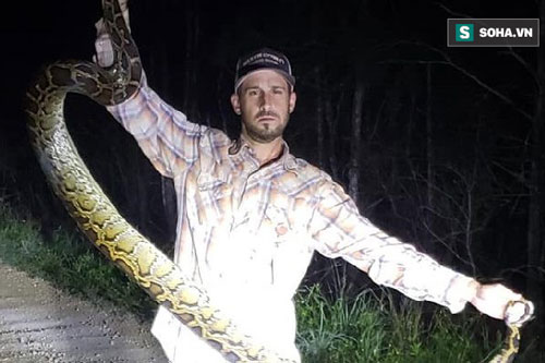 Thấy con trăn dưới vũng nước, người đàn ông kéo nó lên và phát hiện điều đáng sợ