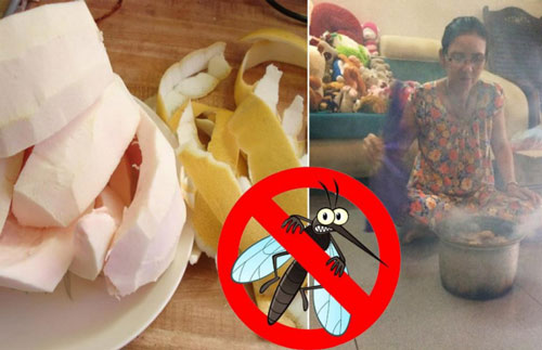 Nấu vỏ bưởi theo cách này, chỉ vài giây là "tiễn chân" muỗi ra khỏi nhà, đảm bảo "1 đi không trở lại"