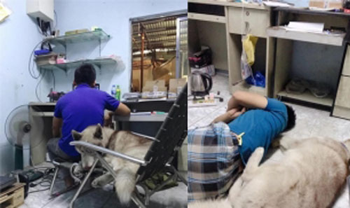 Cô vợ "uất nghẹn" than thở vì bị chồng bỏ quên rồi suốt ngày cưng nựng "kẻ thứ ba" này