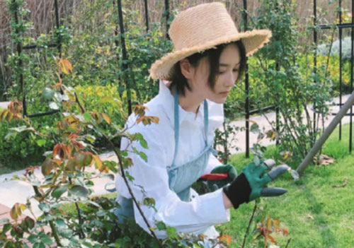 Cuộc sống trong mùa dịch của Angelababy