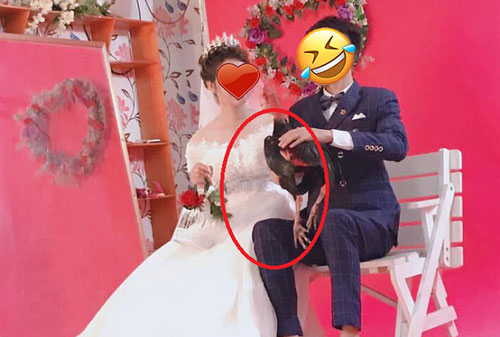 Xuất hiện "kẻ thứ ba" trong bộ ảnh cưới của cặp đôi trẻ khiến thợ chụp ảnh "méo mặt"