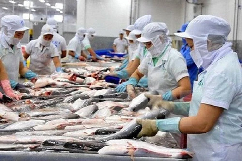 Mỹ nới lỏng quy định dán nhãn cá tra, cá thịt trắng (Ảnh minh họa: Internet)