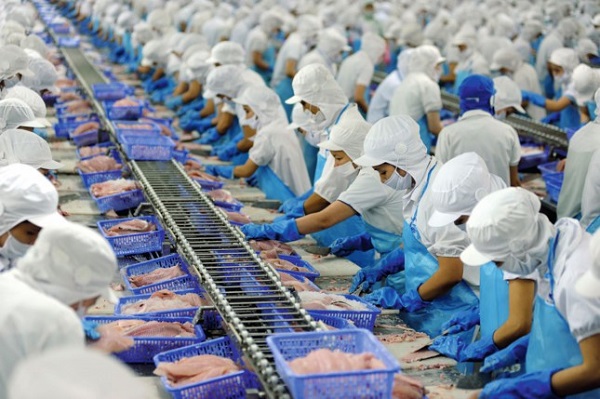 EVFTA sắp có hiệu lực: Bước đi đầu tiên và quan trọng nhất của Doanh nghiệp Việt Nam