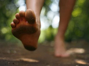 Chăm chỉ đi chân đất, bạn sẽ thấy điều kỳ diệu xảy ra