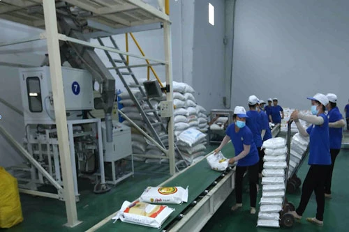 Phương án xuất khẩu gạo sẽ được Thủ tướng Chính phủ xem xét, quyết định sau cuộc họp ngày 20/4 (Ảnh: Internet)