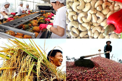 5 loại nông sản xuất khẩu tăng mạnh nhất tháng 3