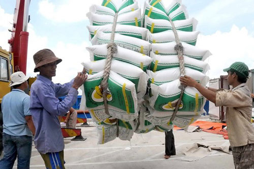 Bộ Tài chính đề nghị Bộ Công an điều tra vụ trục lợi trong xuất khẩu gạo