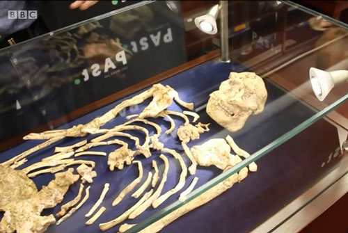 Bí ẩn hài cốt phụ nữ thuộc 1 loài người khác