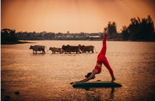 Người đẹp “ Miss U30 Việt Nam” khoe vẻ quyến rũ trong bộ ảnh yoga đỉnh cao