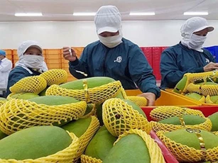 Thêm 4 mặt hàng xuất khẩu đạt trên tỷ USD