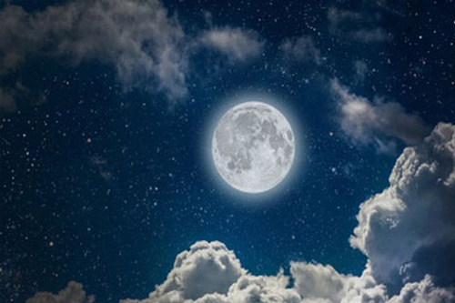 Sinh ra là nguyên bản, đừng chết như một bản sao