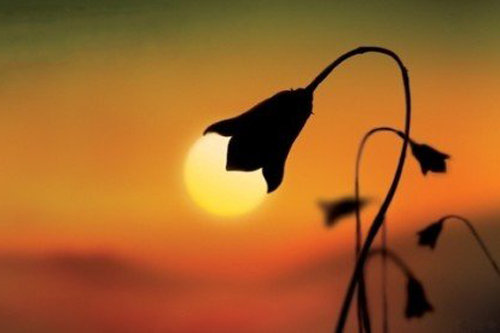 Lấy thiện tâm đãi người, phúc báo muôn vàn kiếp