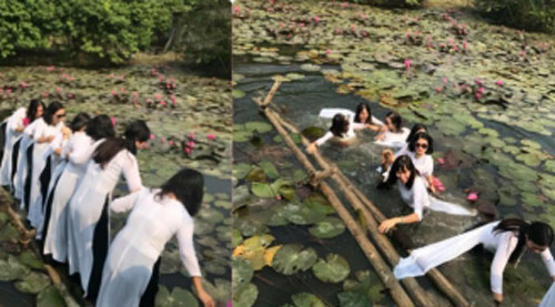 Tưởng có bộ ảnh màu mè bên hoa súng, ai dè 8 cô gái lại "quá nhọ" cùng rớt xuống hồ