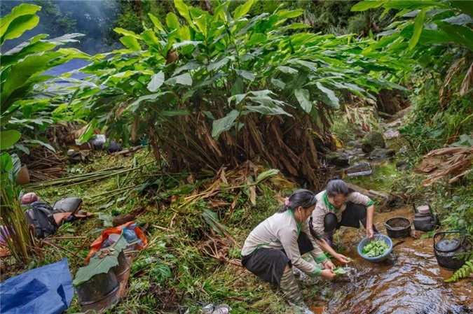 Theo chân phóng viên báo Tây thu hoạch thảo quả tại vườn quốc gia Hoàng Liên - 8