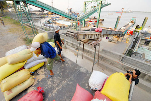 Hạn ngạch xuất khẩu 100.000 gạo sẽ được sử dụng ra sao?