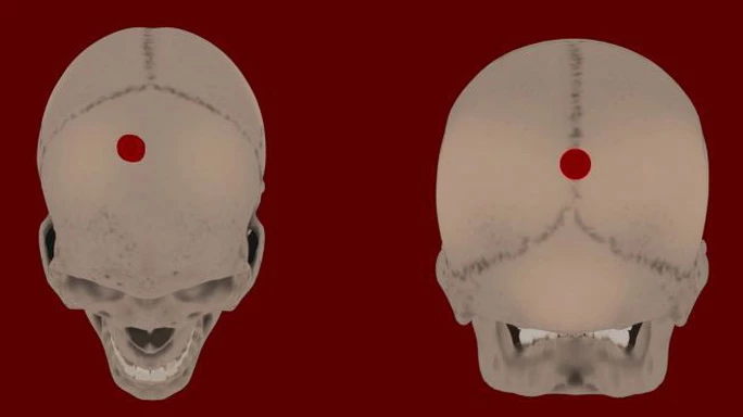 Một trong các hộp sọ - Ảnh do nhóm nghiên cứu cung cấp