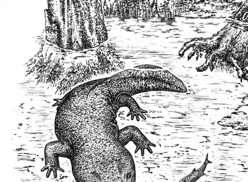 Kỳ giông già nhất thế giới được phát hiện ở Siberia