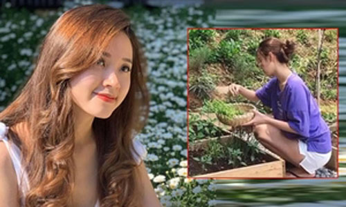 Midu hái rau, nấu ăn khi cách ly ở Đà Lạt