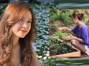 Midu hái rau, nấu ăn khi cách ly ở Đà Lạt