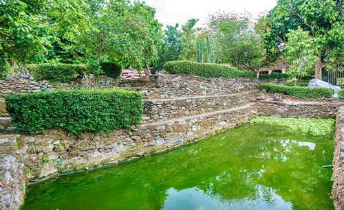 Một hồ cá nằm trong khuôn viên nhà cổ.