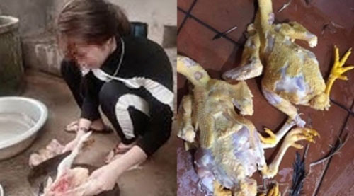 Trổ tài làm thịt gà rồi khoe "lấy chồng được chưa", cô gái khiến dân mạng "khóc thét" vì thành phẩm