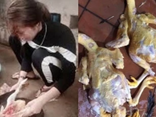 Trổ tài làm thịt gà rồi khoe "lấy chồng được chưa", cô gái khiến dân mạng "khóc thét" vì thành phẩm