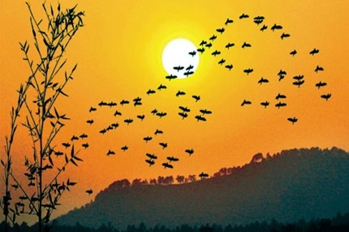 Biết đủ một chút, hạnh phúc sẽ đong đầy hơn