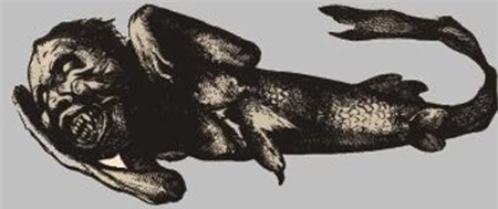 Hình ảnh người cá FeeJee được công bố vào năm 1842.