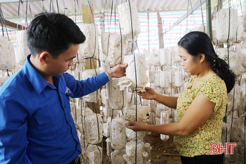 Gia đình chị Diệu Hà thu nhập 70-80 triệu đồng/năm từ trồng nấm rơm